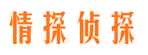 钢城市婚姻调查